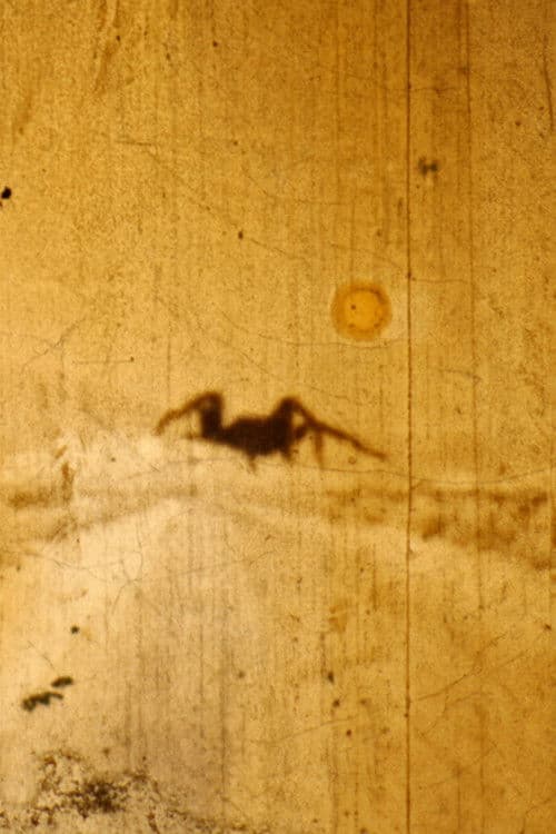 Bielefeld Lichtwerk poster