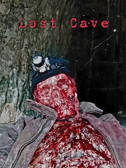 Lost Cave poster