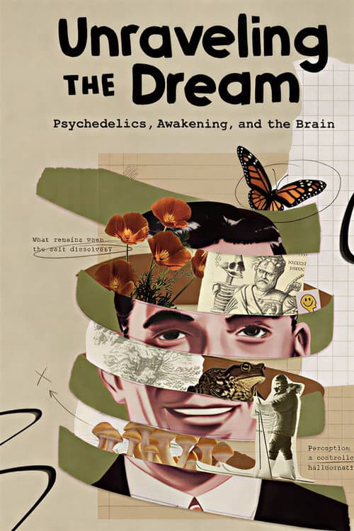 Unraveling the Dream poster