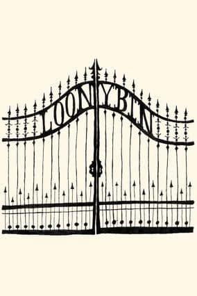 Loony Bin poster