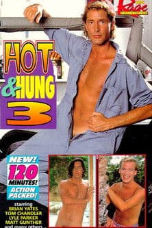 Hot & Hung 3 poster
