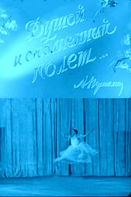 When the Spirit Soars in Flight poster