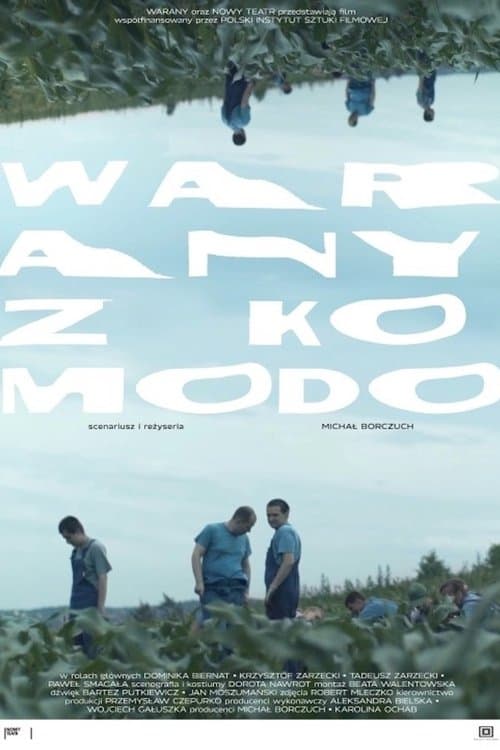 Komodo Dragons poster