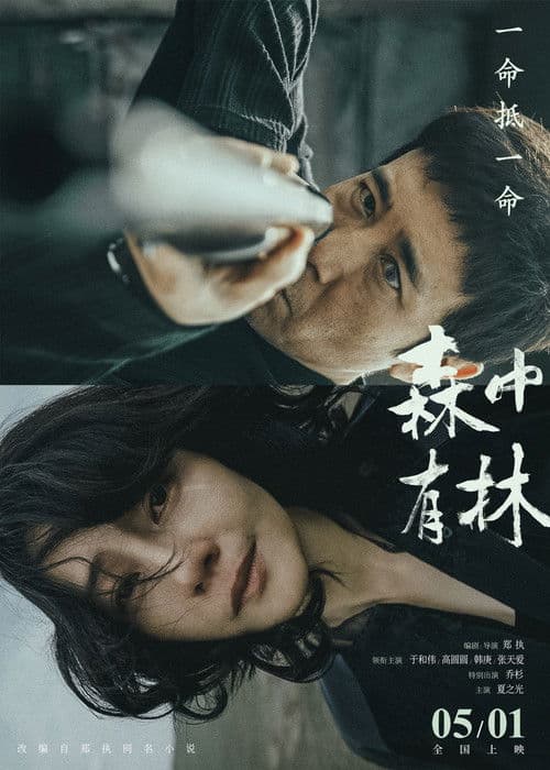 森中有林 poster