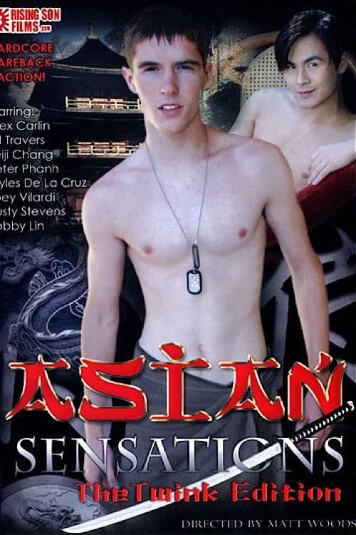 Asian Sensations: The Twink Edition poster