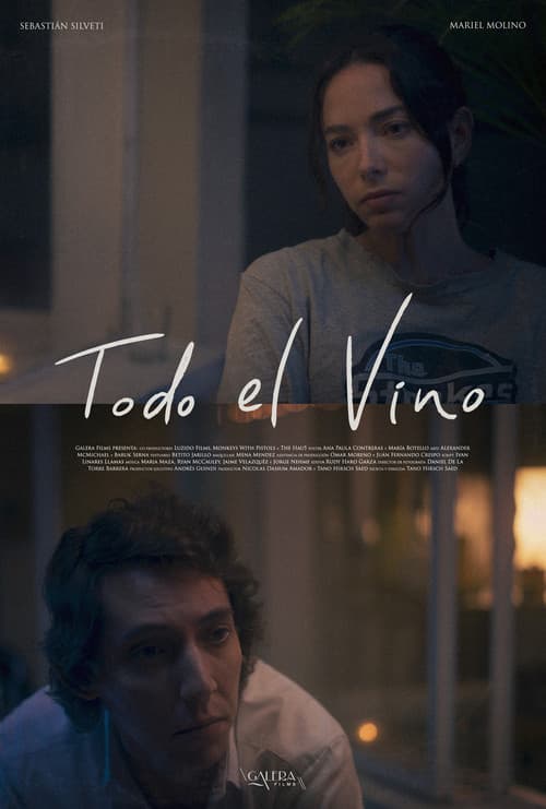 Todo El Vino poster
