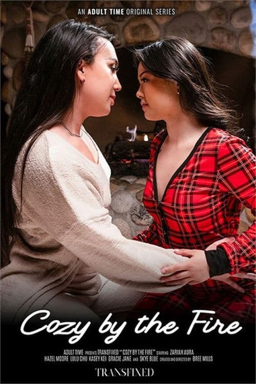 Cozy By The Fire poster