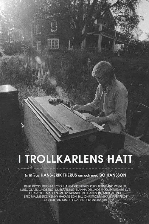 I Trollkarlens Hatt poster