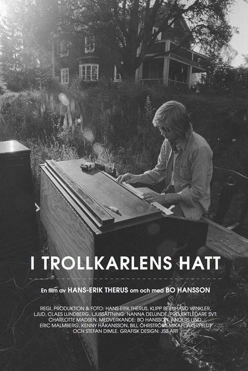 I Trollkarlens Hatt poster