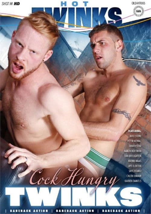 Cock Hungry Twinks poster