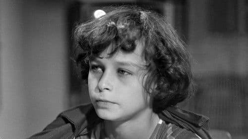 Bílí jeleni poster