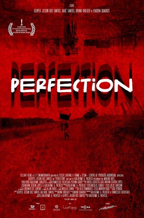 Perfection poster