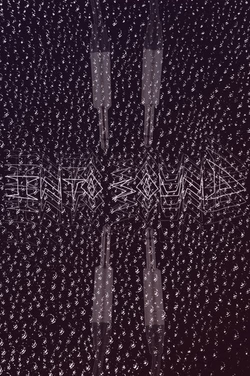 Into Sound poster