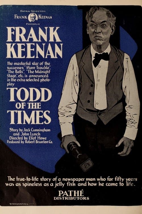 Todd of the Times poster