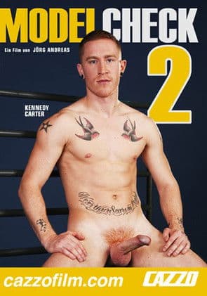 Model Check 2 poster