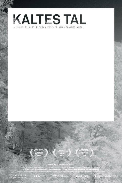 Kaltes Tal poster