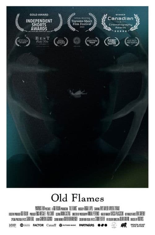 Old Flames poster