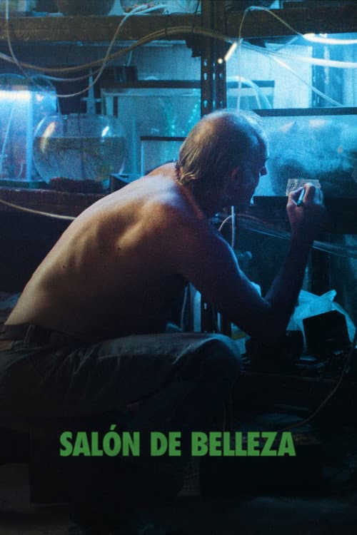 Salón de Belleza poster
