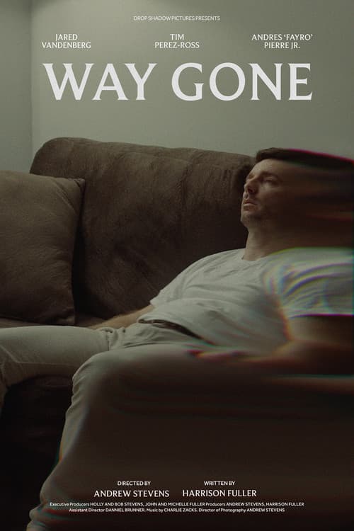Way Gone poster