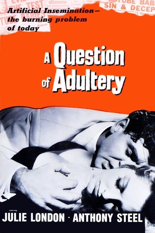A Question of Adultery poster