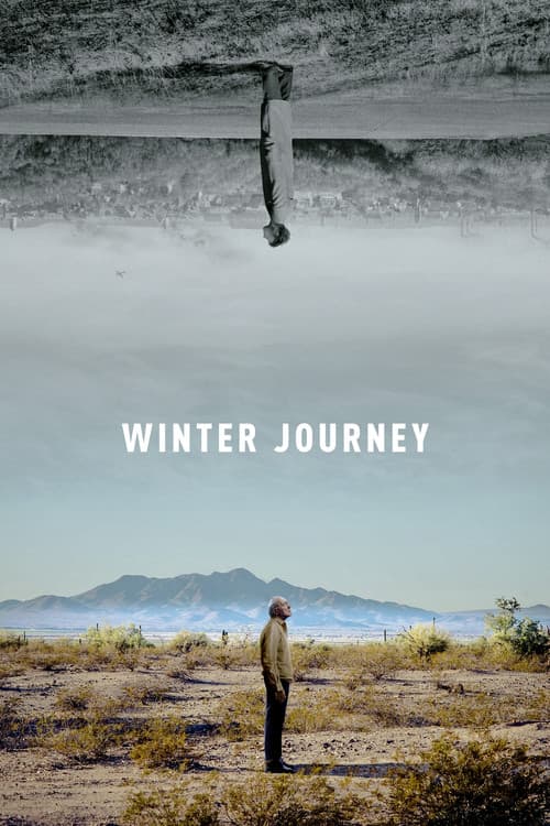 Winter Journey poster