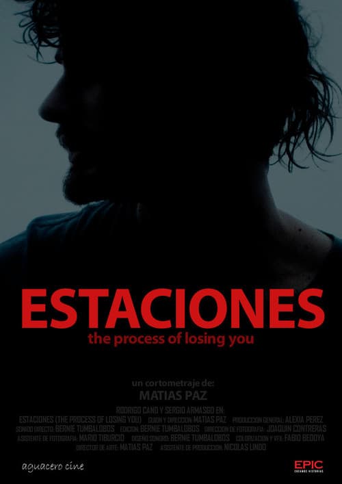 Estaciones poster