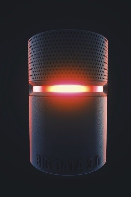 Big Data L1ZY poster