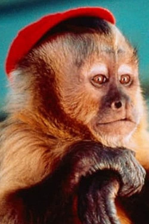 Finster profile photo