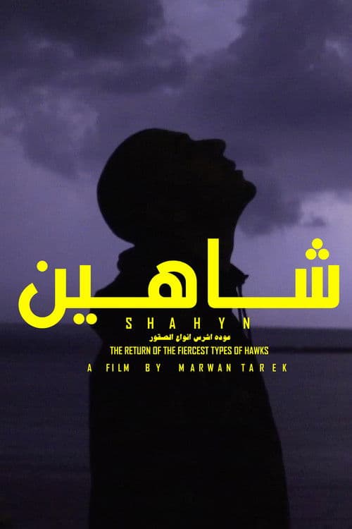 SHAHYN - THE RETURN OF THE FIERCEST TYPES OF HAWKS poster