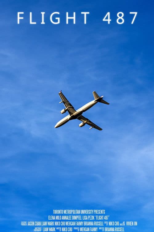 Flight 487 poster