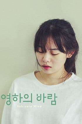 Sub-zero Wind poster