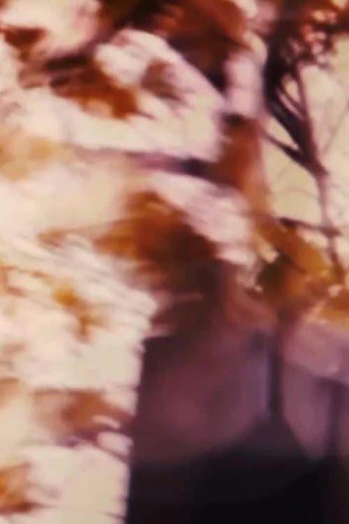 The Driveways of People's Houses poster