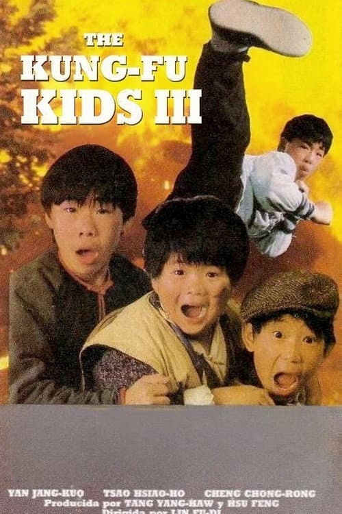 The Kung Fu Kids III poster