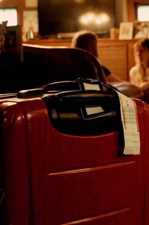 The Suitcase poster