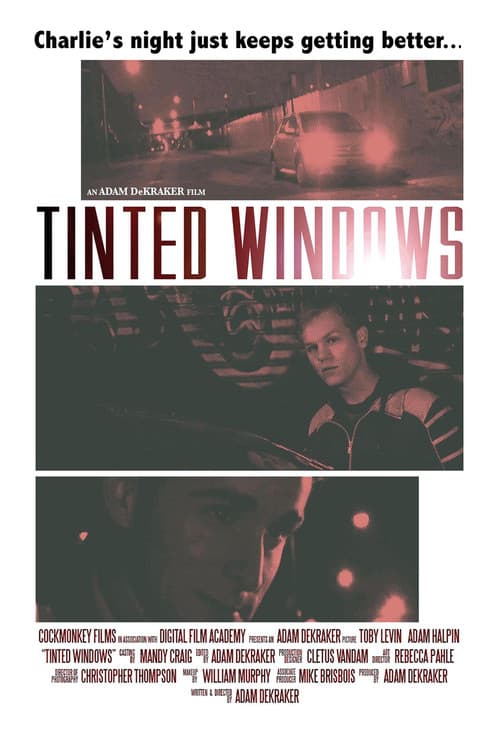 Tinted Windows poster