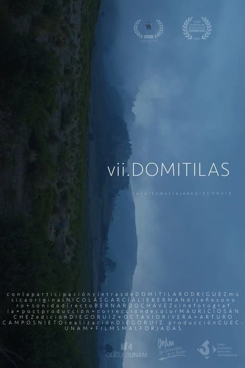 VII Domitilas poster