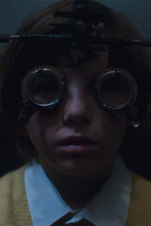 The Light Refracts Into The Shadows poster