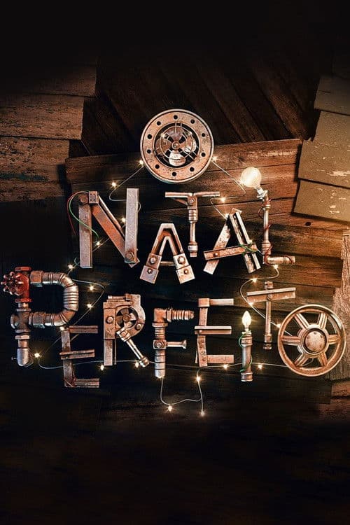 Natal Perfeito poster