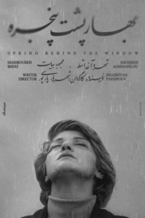 Spring Behind the Window poster