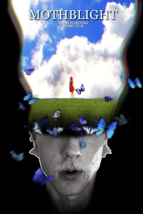 MothBlight poster
