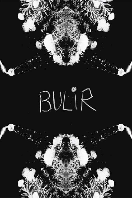 BULIR poster