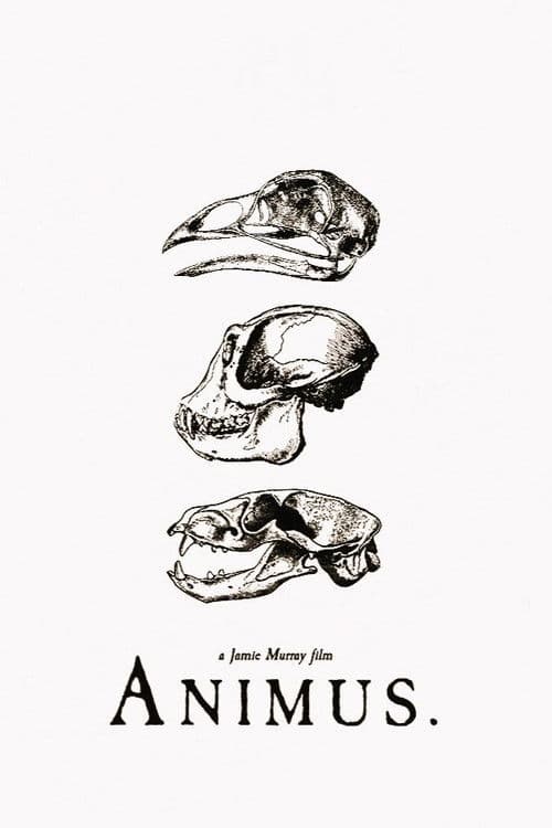 Animus poster