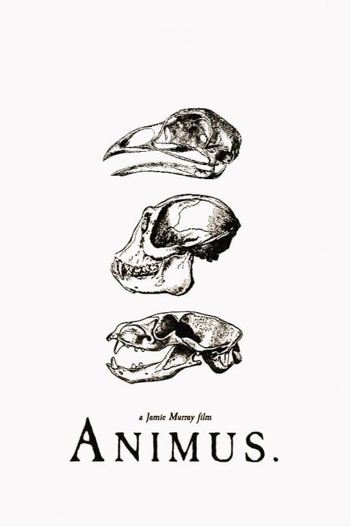 Animus poster