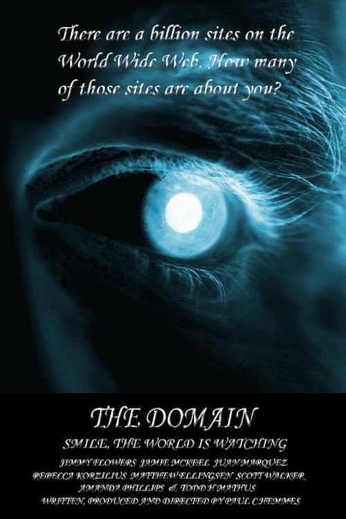 The Domain poster