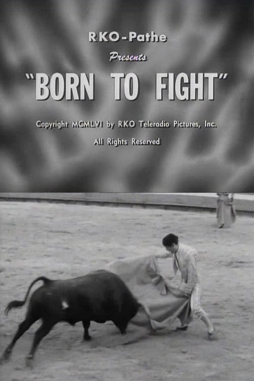 Born to Fight poster