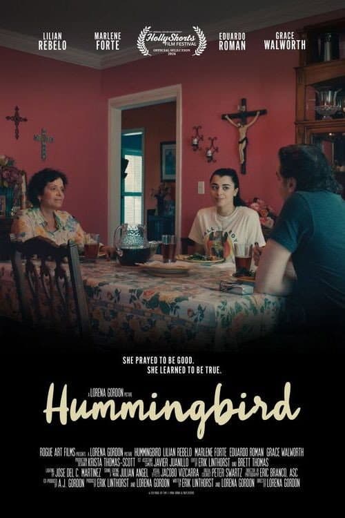 Hummingbird poster