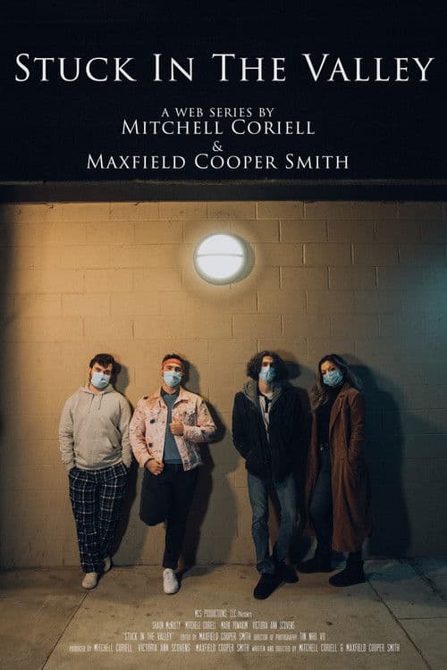 Stuck In The Valley- A Web Series poster