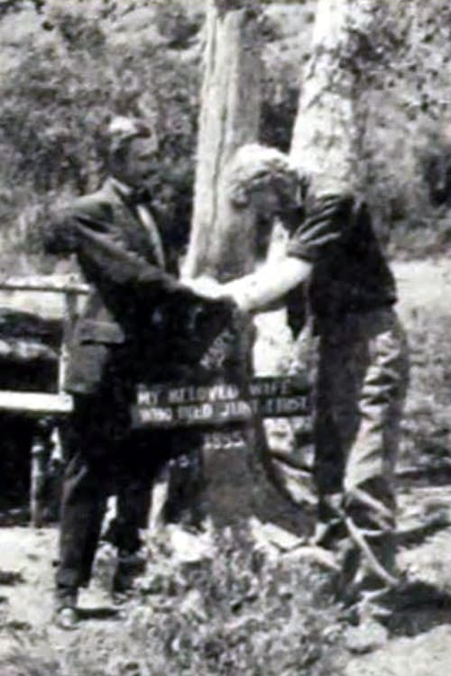 In the Right of Way poster