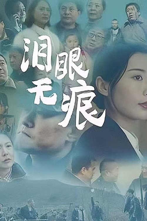 泪眼无痕 poster