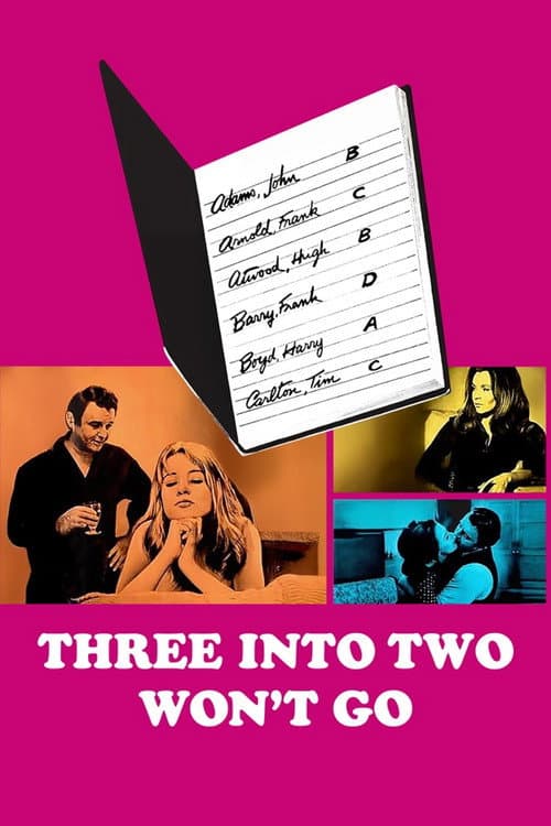 3 Into 2 Won't Go poster